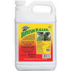 GAL CONC BRUSH KILLER Image 1