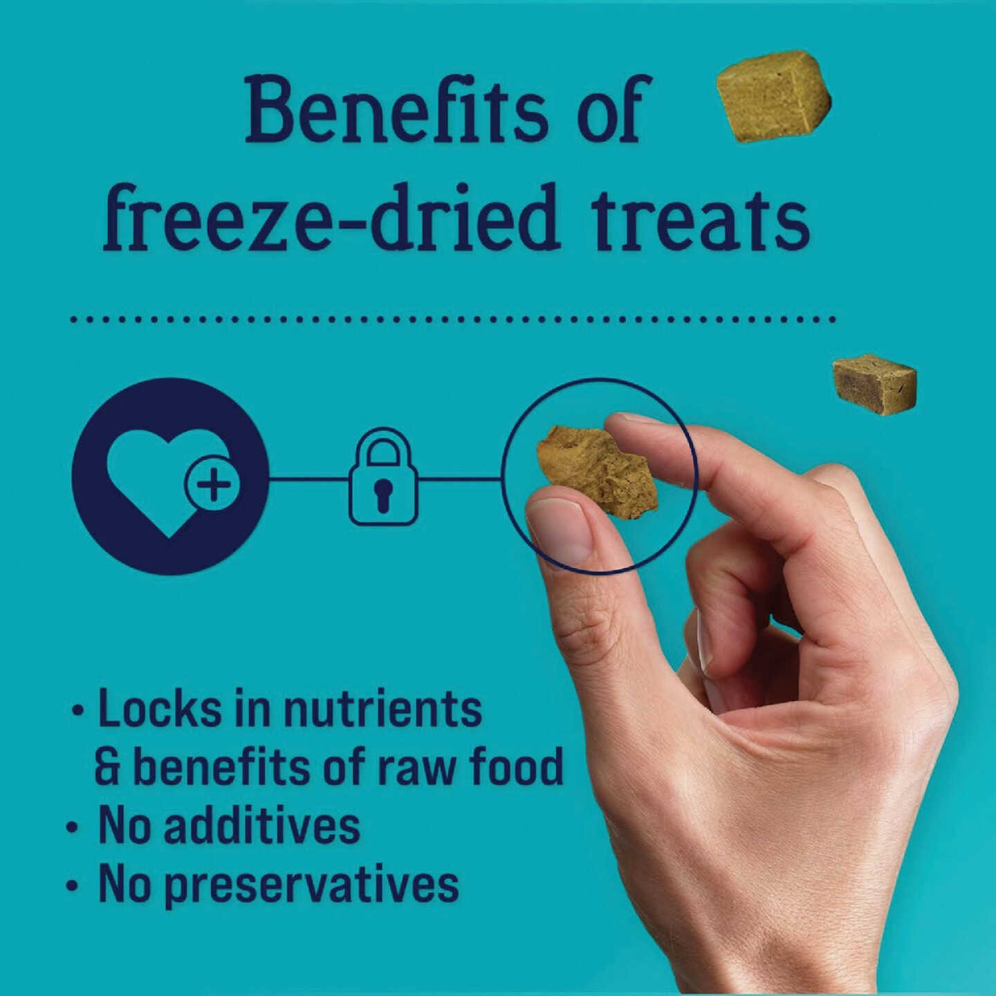 Stewart 11.5 Oz. Freeze-Dried Chicken Liver Dog Treat Image 4