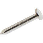 Do it Best 1-1/2 In. 9 ga Hot Galvanized Truss and Joist Hanger Nails (6250-Count, 50 lb) Image 1