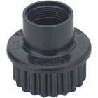 SHRUB SPRAY BODY Image 1