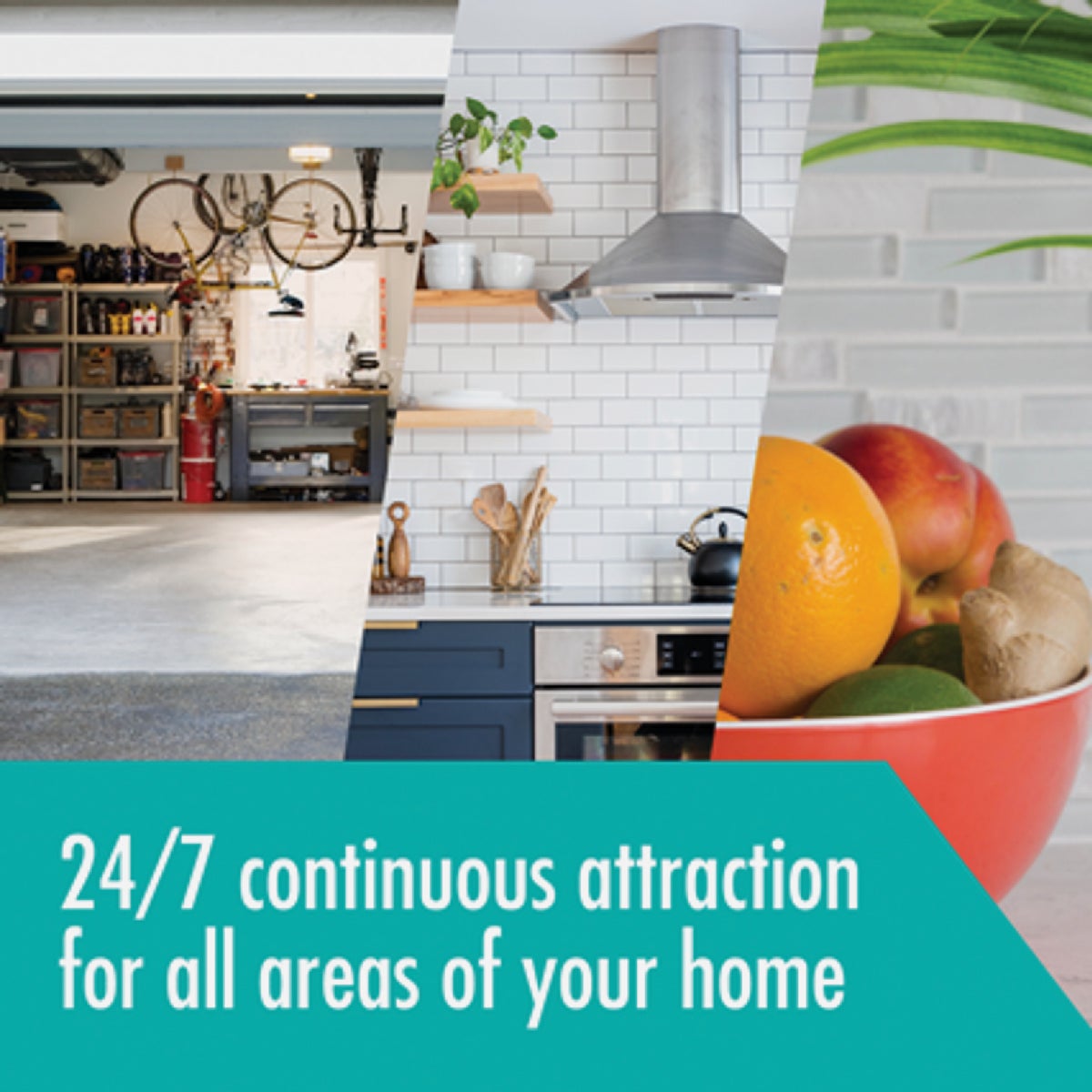 Stem Reusable Indoor Flying Insects Light Trap Starter Kit Image 2