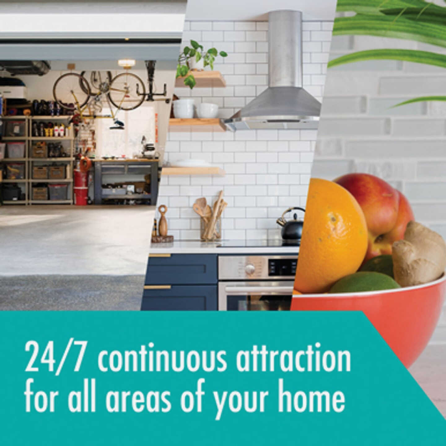 Stem Reusable Indoor Flying Insects Light Trap Starter Kit Image 2