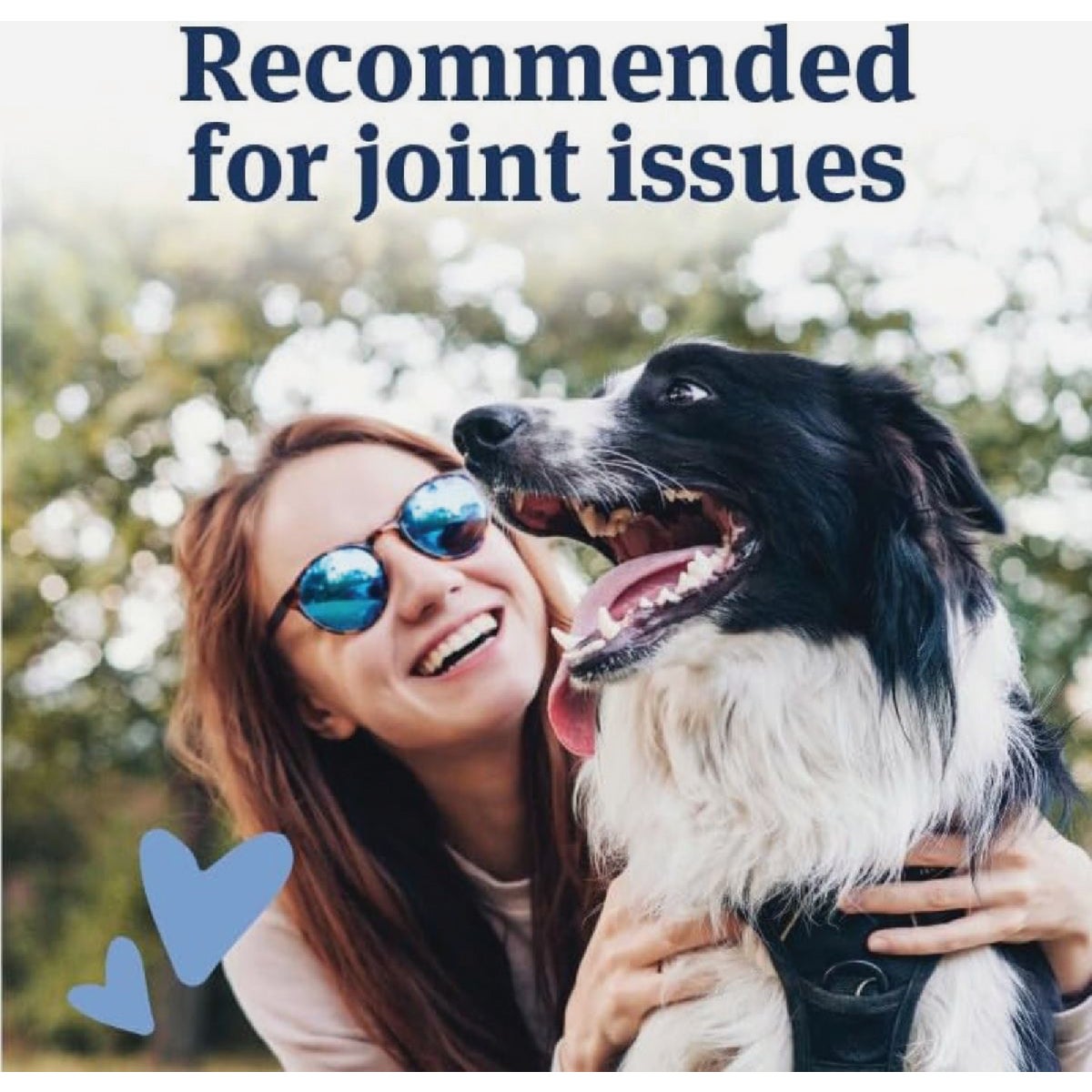 PetArmor 51 to 120 Lb. Canine Aspirin Tablets (120-Pack) Image 2