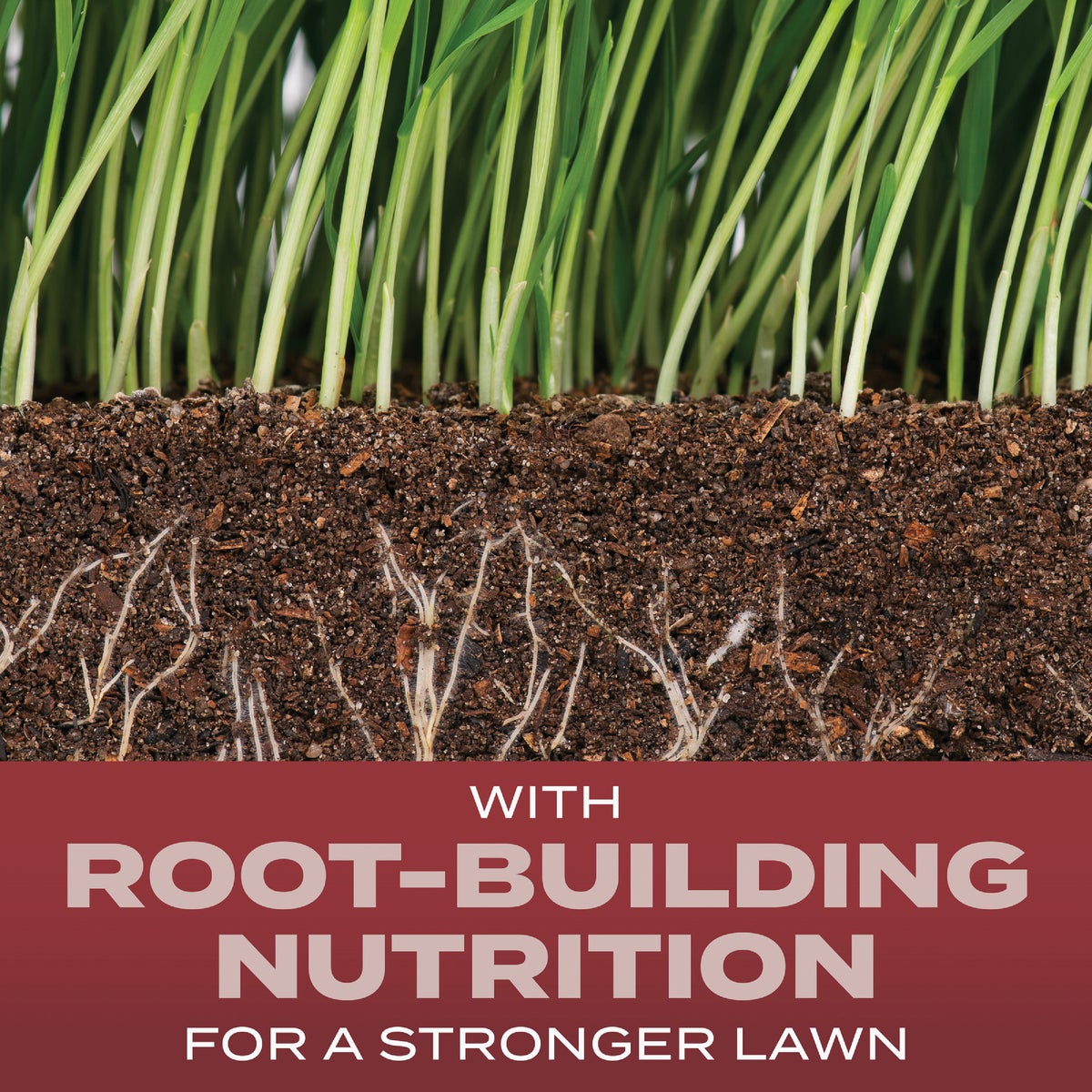 Scotts Turf Builder 2.4 Lb. 200 Sq. Ft. Sunny Mix Grass Seed, Fertilizer, and Soil Improver Combination Image 2