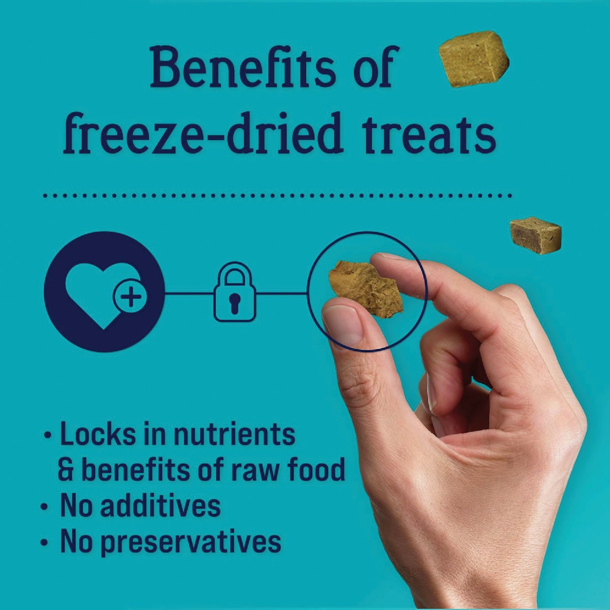 Stewart 16.8 Oz. Freeze-Dried Chicken Liver Dog Treat Image 4