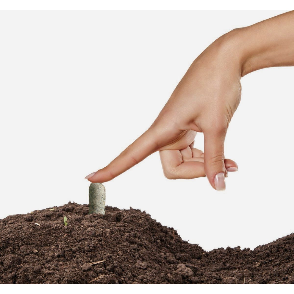 Jobe's Organics For Bountiful Succulents (12-Pack) Image 2