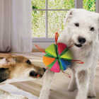 Nerf Dog 5.9 In. Plush Squeak & Crunch Wedge Ball with Straps Image 4