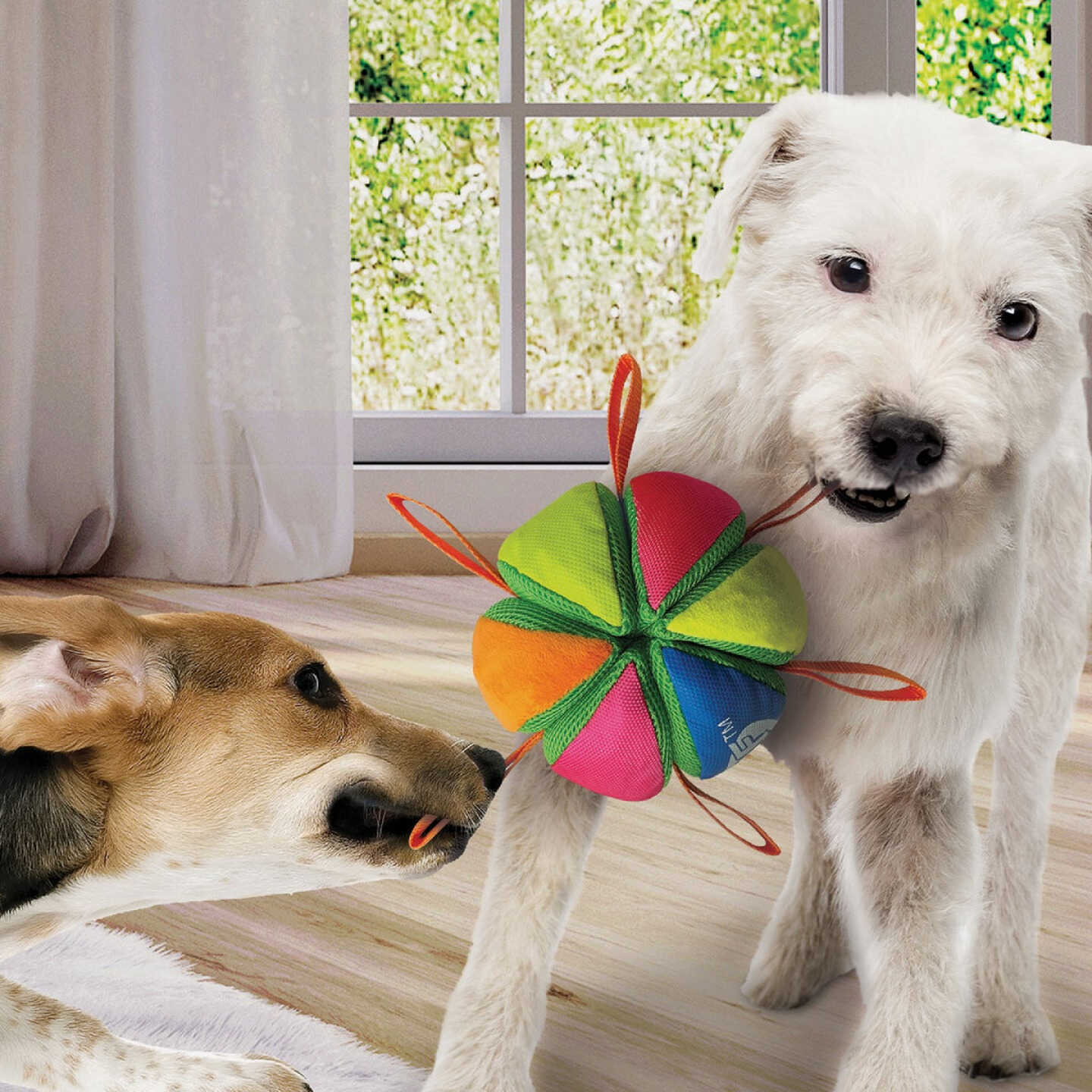 Nerf Dog 5.9 In. Plush Squeak & Crunch Wedge Ball with Straps Image 4