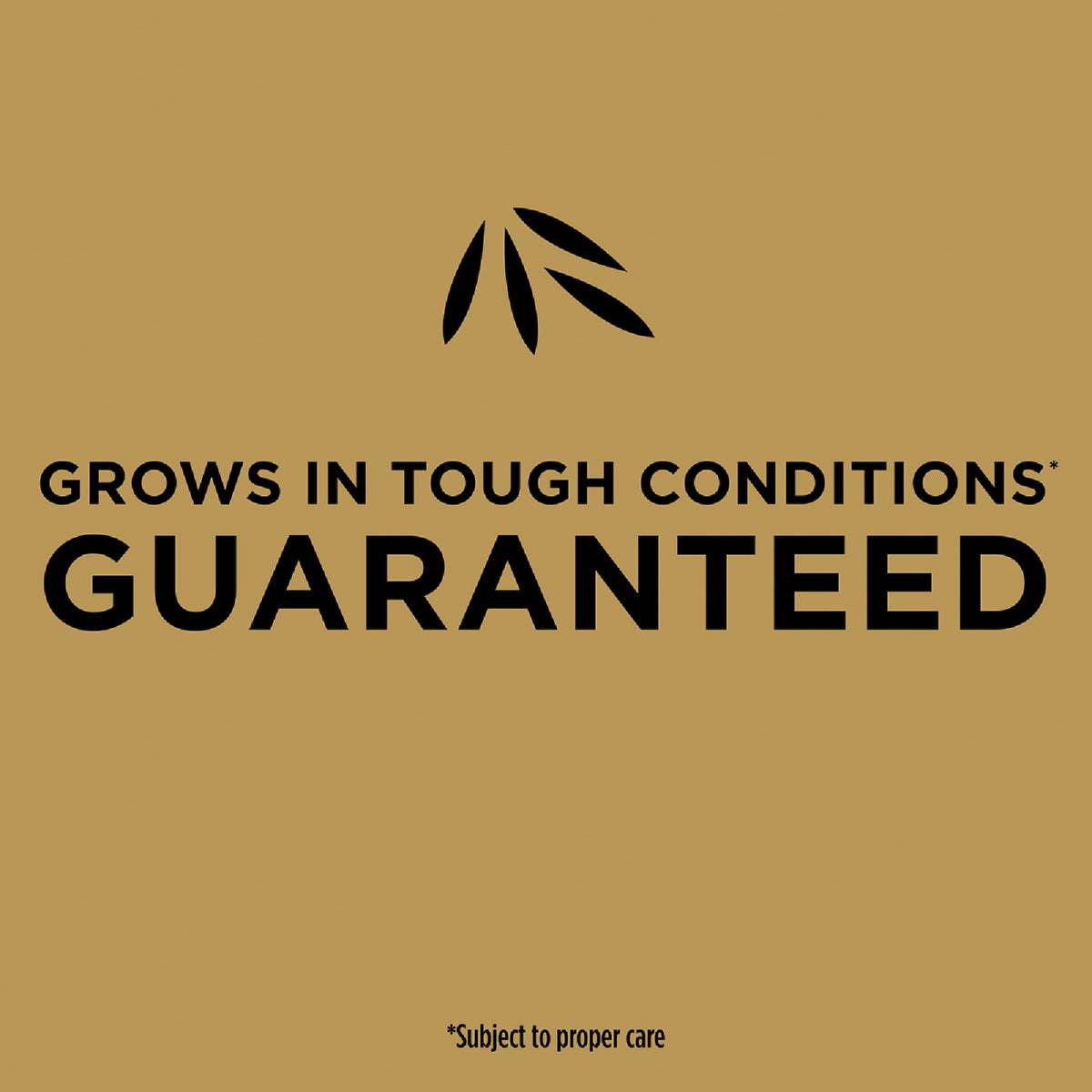 Scotts EZ Seed 10 Lb. 225 Sq. Ft. Patch & Repair for Bermudagrass Mulch, Seed and Fertilizer Combination Image 3