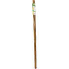 Gardener's Blue Ribbon 4 Ft. Bamboo Plant Stake (12-Pack) Image 2