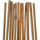 Gardener's Blue Ribbon 4 Ft. Bamboo Plant Stake (12-Pack) Image 3