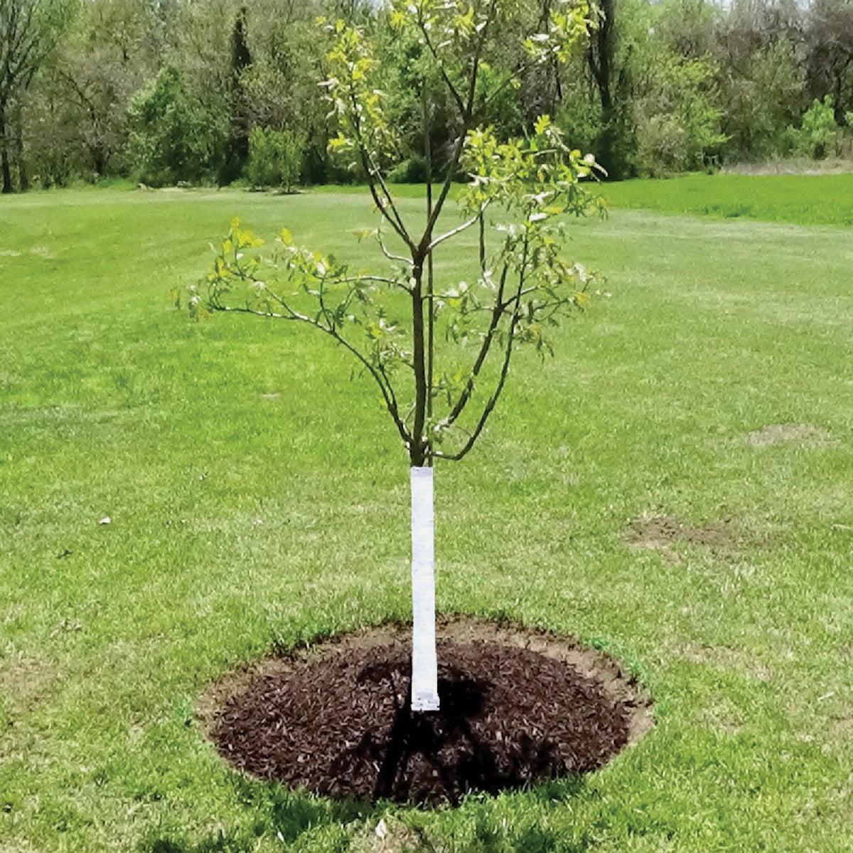 DeWitt White Polypropylene 3 In. x 50 Ft. Tree Wrap Image 2