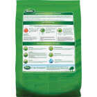 Scotts Turf Builder 15 Lb. 5000 Sq. Ft. Starter Food For New Grass Image 4