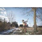 Milwaukee M18 FUEL 10 In. Pole Saw Attachment for QUIK-LOK Attachment System Image 4