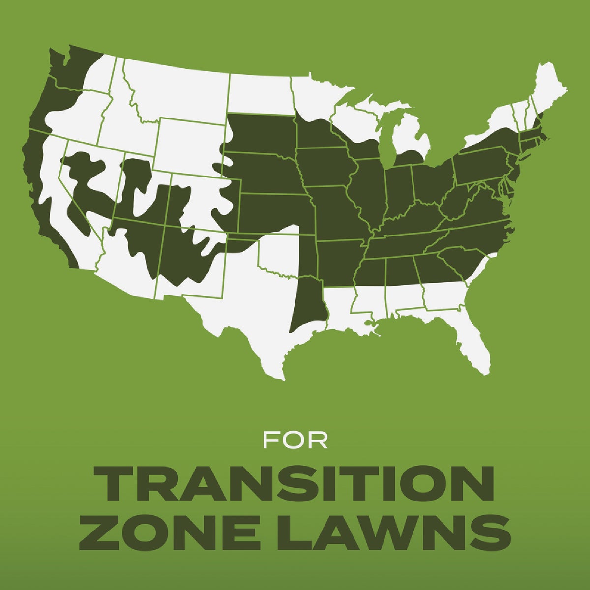 Scotts Turf Builder 2.4 Lb. 200 Sq. Ft. Tall Fescue Mix Grass Seed, Fertilizer, and Soil Improver Combination Image 5