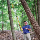 Treekote 12 Oz. Aerosol Spray Tree Wound Dressing Image 2