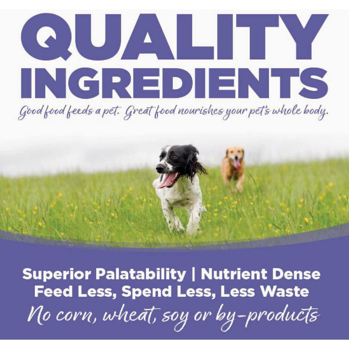 NutriSource 5.5 Oz. Small & Medium Breed Wet Puppy Food Image 5