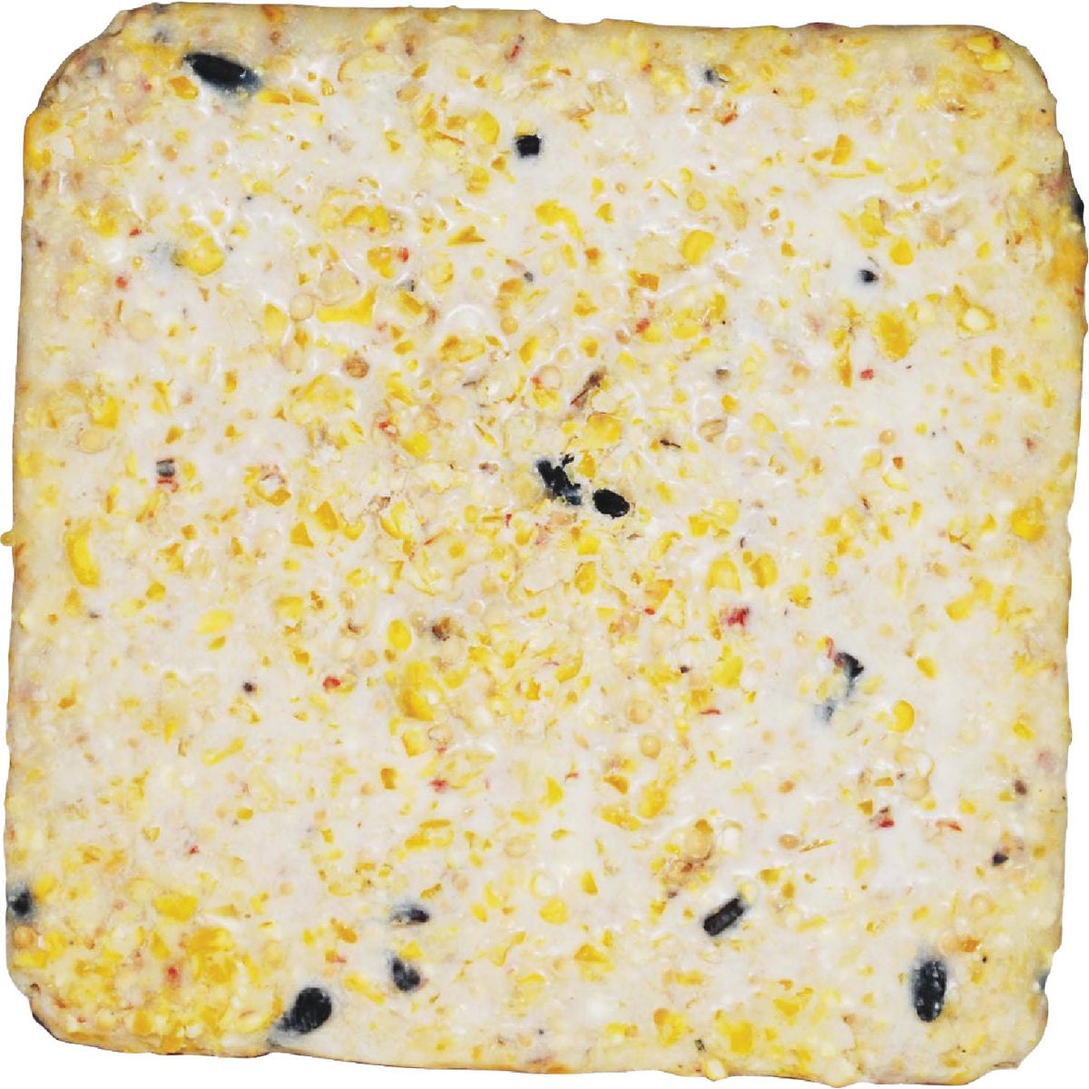 Suet Plus 11 Oz. High Energy Suet (10-Pack) Image 2