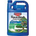 BioAdvanced 1 Gal. Concentrate Tree & Shrub Protect & Feed Insect Killer Image 1