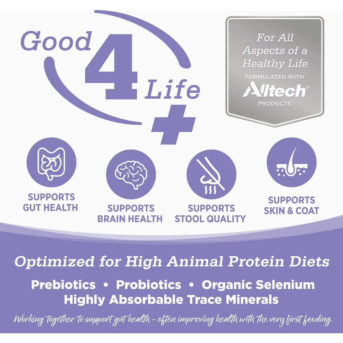 NutriSource 4 Lb. Chicken & Salmon Grain Free Dry Cat & Kitten Food Image 5