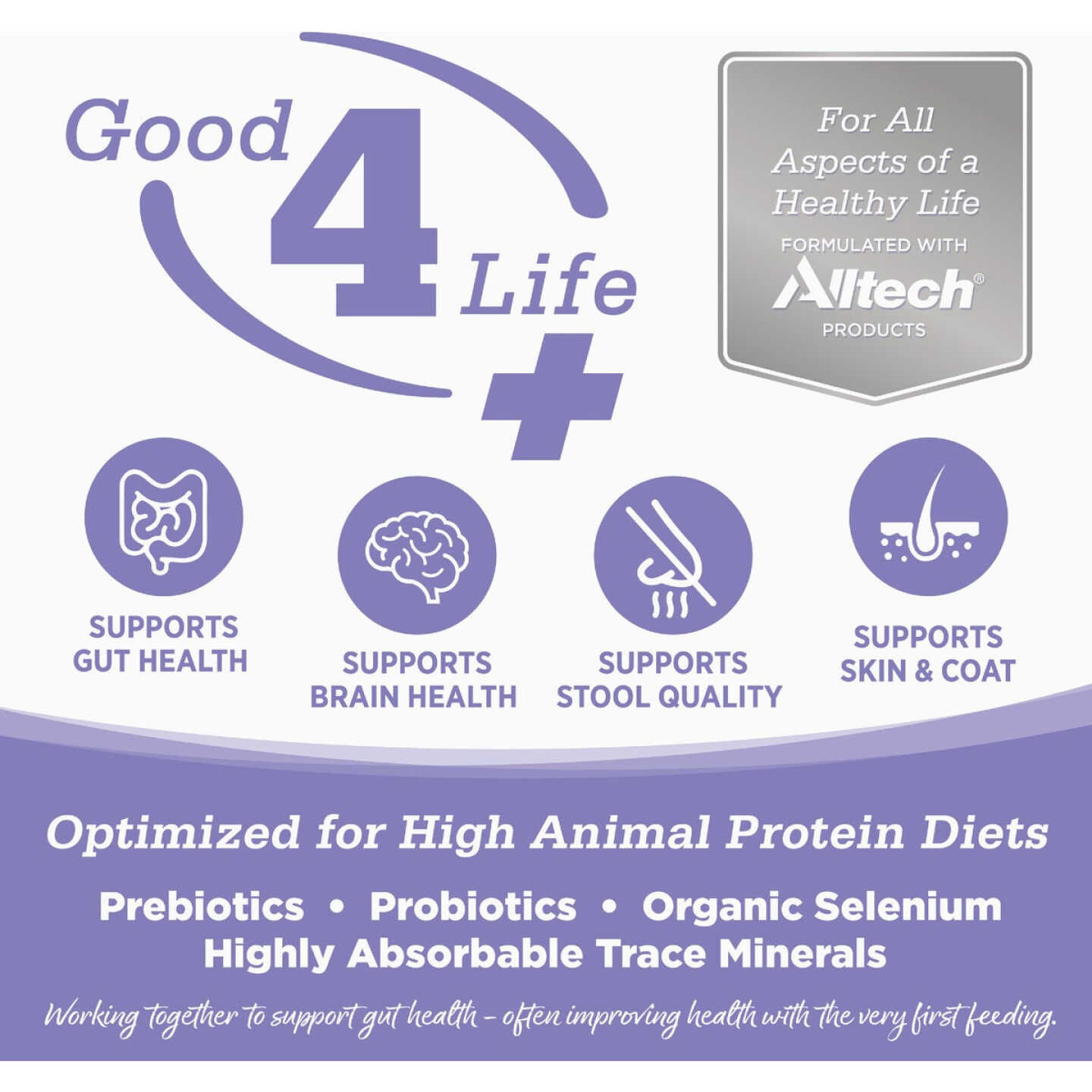 NutriSource 4 Lb. Chicken & Salmon Grain Free Dry Cat & Kitten Food Image 5