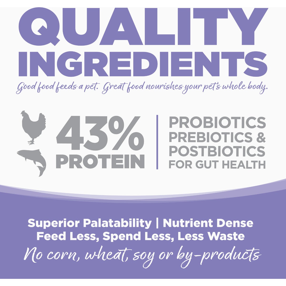 NutriSource 4 Lb. Chicken & Salmon Grain Free Dry Cat & Kitten Food Image 2