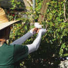 Farmers Defense Cream Protection Sleeves, Small/Medium Image 3