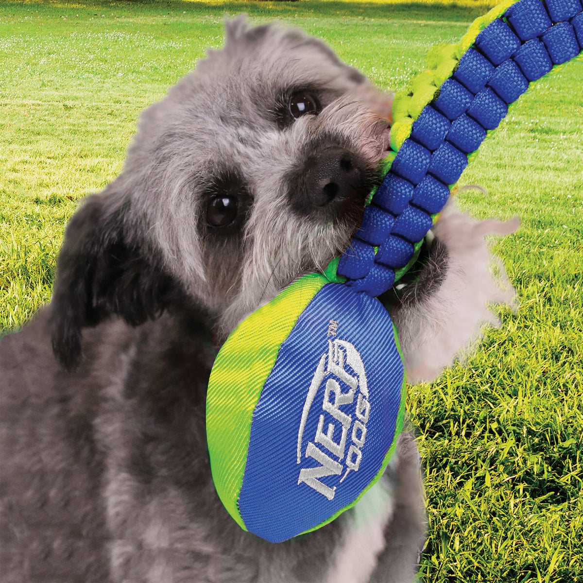 Nerf Dog 25 In. Nylon Squeak Vortex Chain Tug Image 3