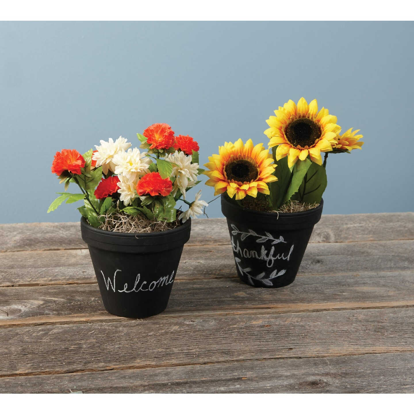 Deroma 6.3 In. Red Terra Cotta Clay Standard Planter Image 2