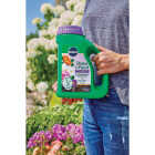 Miracle-Gro Shake 'n Feed 4.5 Lb. Rose & Bloom Plant Food Image 3