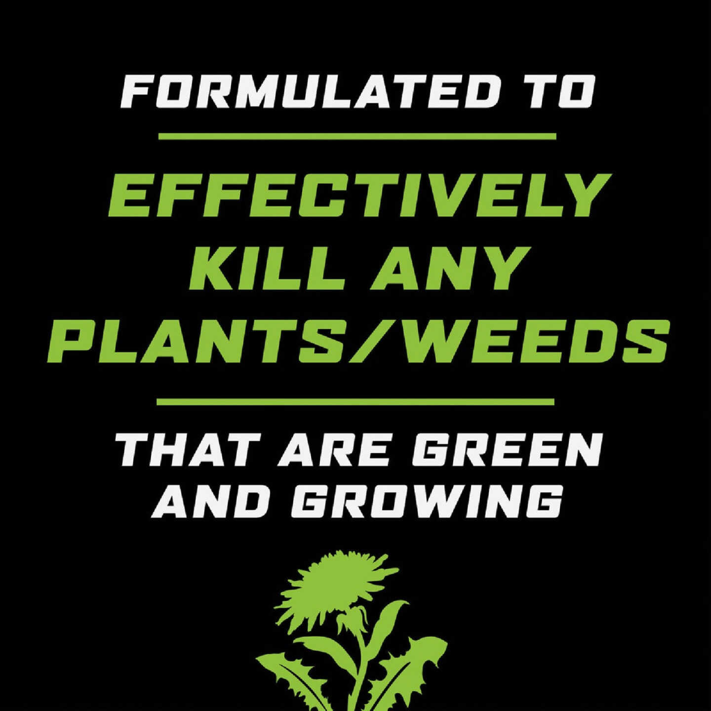 Ortho GroundClear 32 Oz. Concentrate Weed & Grass Killer Image 2