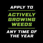 Ortho GroundClear 32 Oz. Concentrate Weed & Grass Killer Image 5