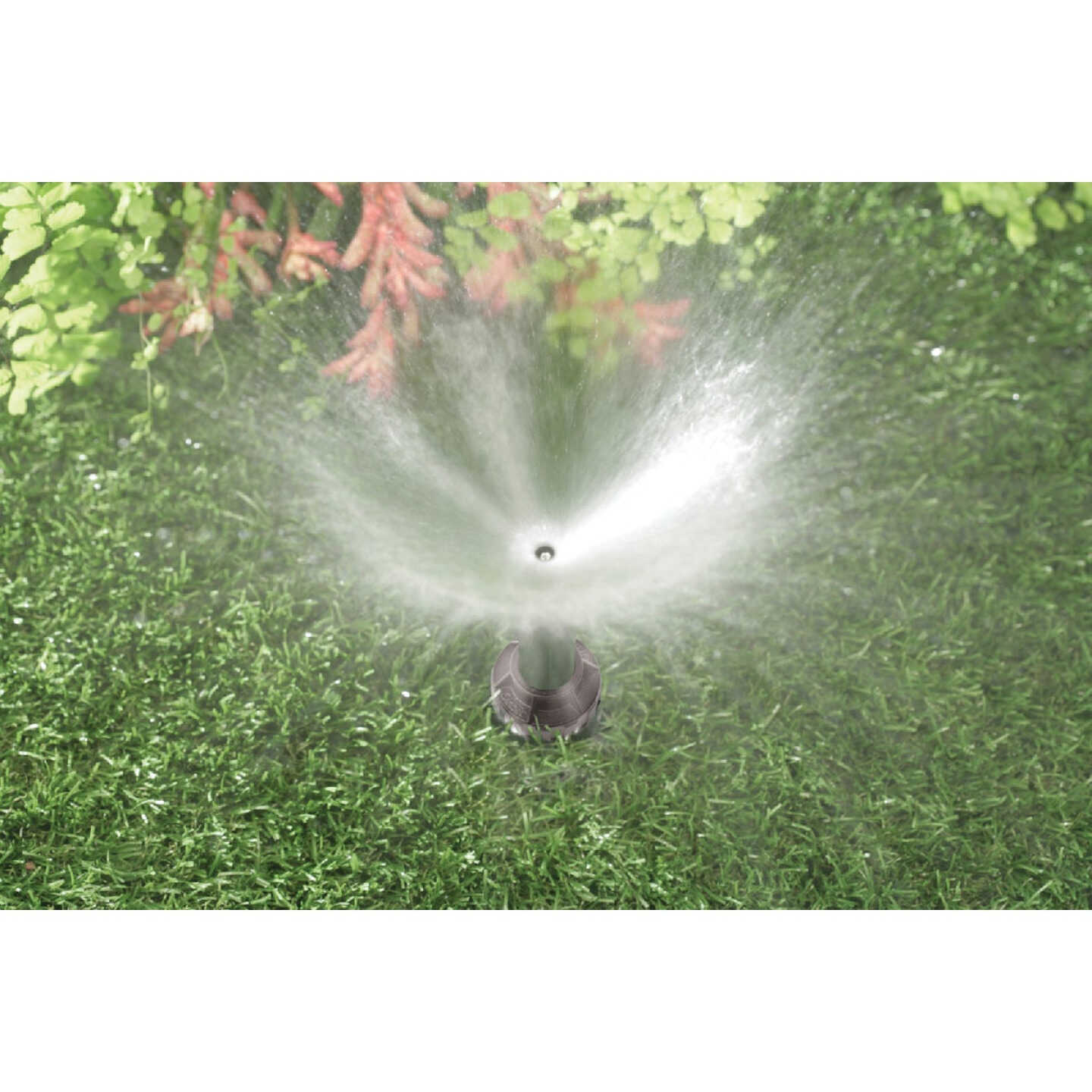 Orbit WaterMaster 2.125 In. Full Circle Plastic Sprinkler Pop-Up Head Image 2