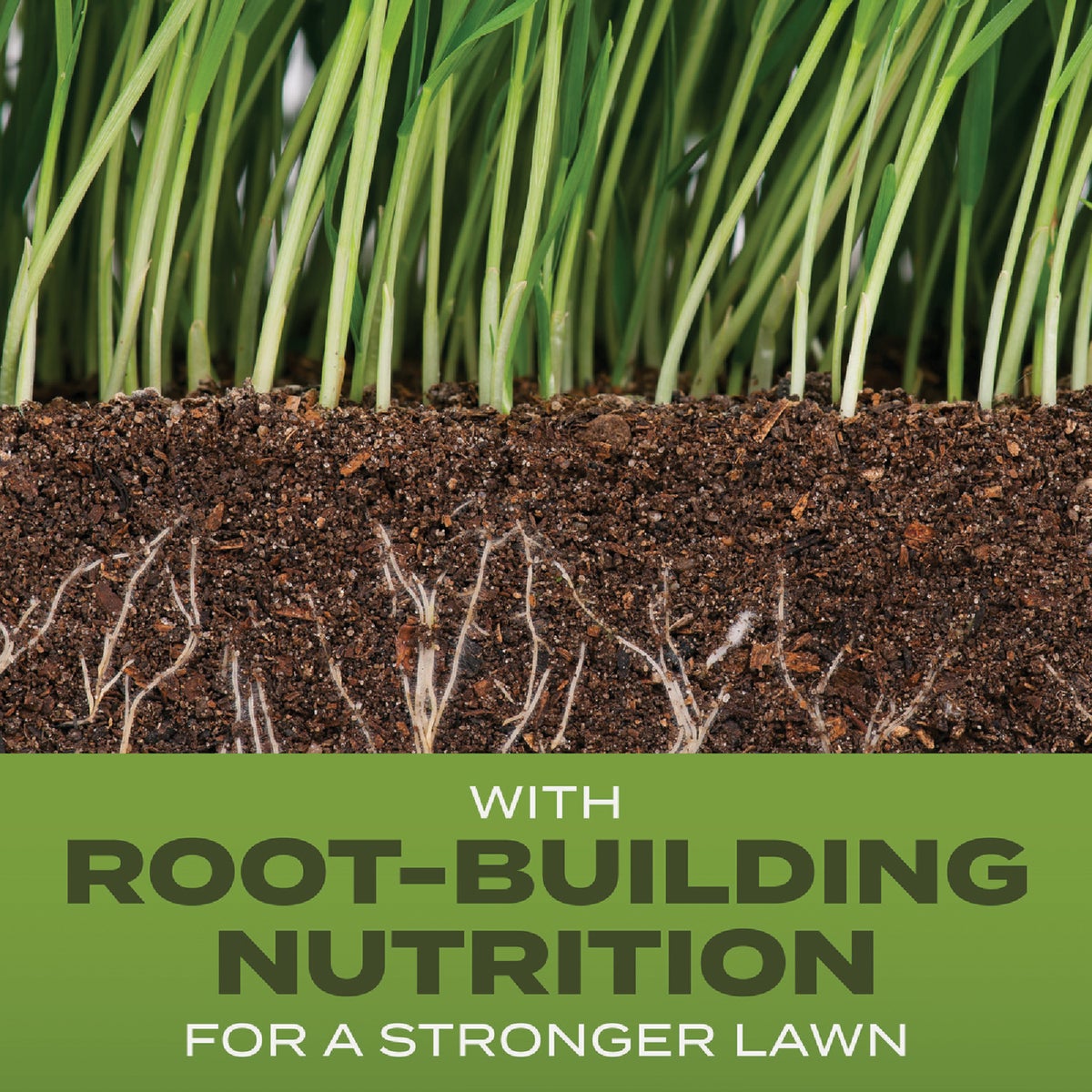 Scotts Turf Builder 5.6 Lb. 465 Sq. Ft. Tall Fescue Mix Grass Seed, Fertilizer, and Soil Improver Combination Image 2