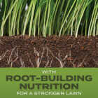 Scotts Turf Builder 5.6 Lb. 465 Sq. Ft. Tall Fescue Mix Grass Seed, Fertilizer, and Soil Improver Combination Image 2