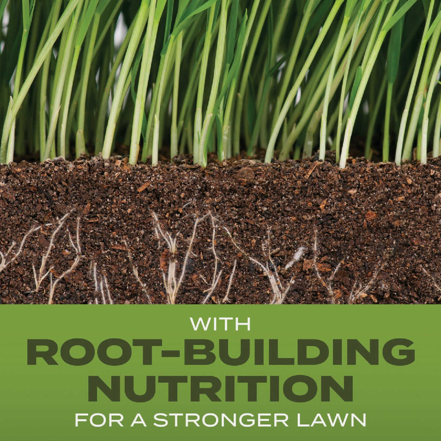 Scotts Turf Builder 5.6 Lb. 465 Sq. Ft. Tall Fescue Mix Grass Seed, Fertilizer, and Soil Improver Combination Image 2