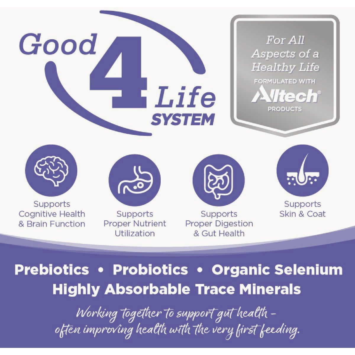 NutriSource 12.3 Oz. Small & Medium Breed Wet Puppy Food Image 5