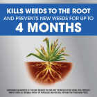 Roundup Dual Action 1 Gal. Trigger Spray Weed & Grass Killer Image 6