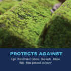 BioAdvanced 2-In-1 32 Oz. Ready To Spray Moss & Algae Killer with HPX Sprayer Image 2