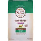 Nutro Wholesome Essentials Small Bite 12 Lb. Lamb & Rice Adult Dry Dog Food Image 1