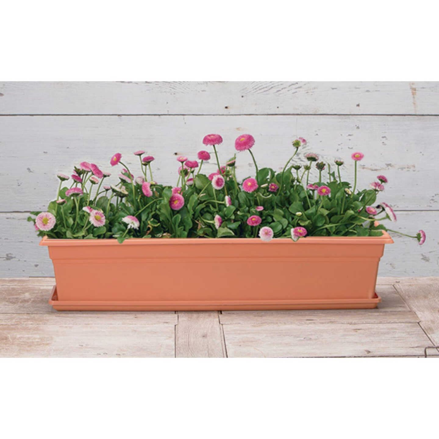 Novelty Countryside 30 In. Plastic Terra Flower Box Planter Image 2