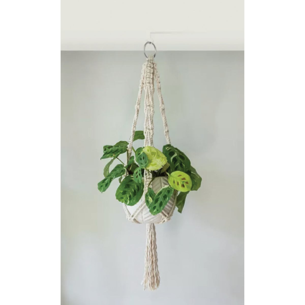 National Hardware Made By Me Plant Hanger Kit Image 2