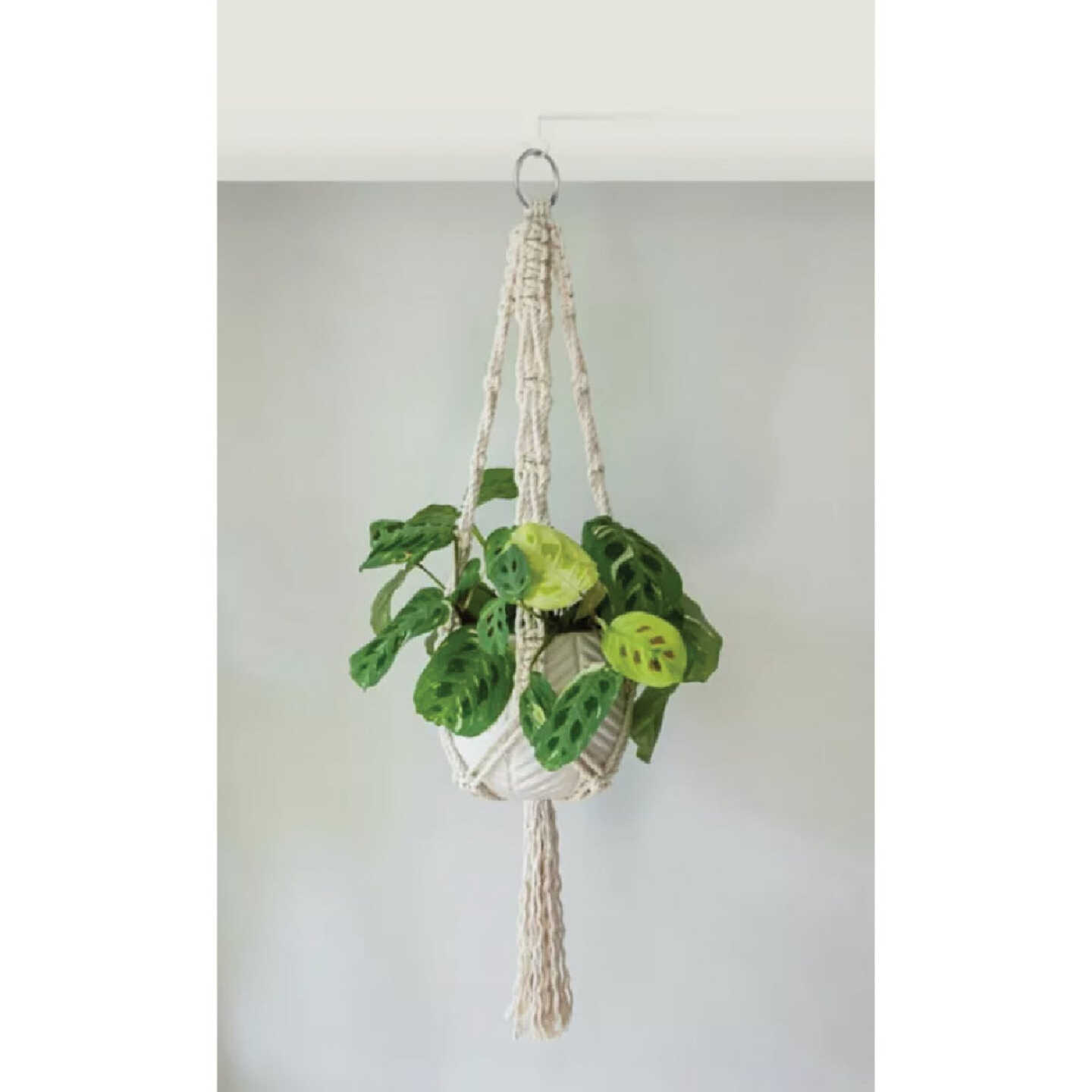 National Hardware Made By Me Plant Hanger Kit Image 2