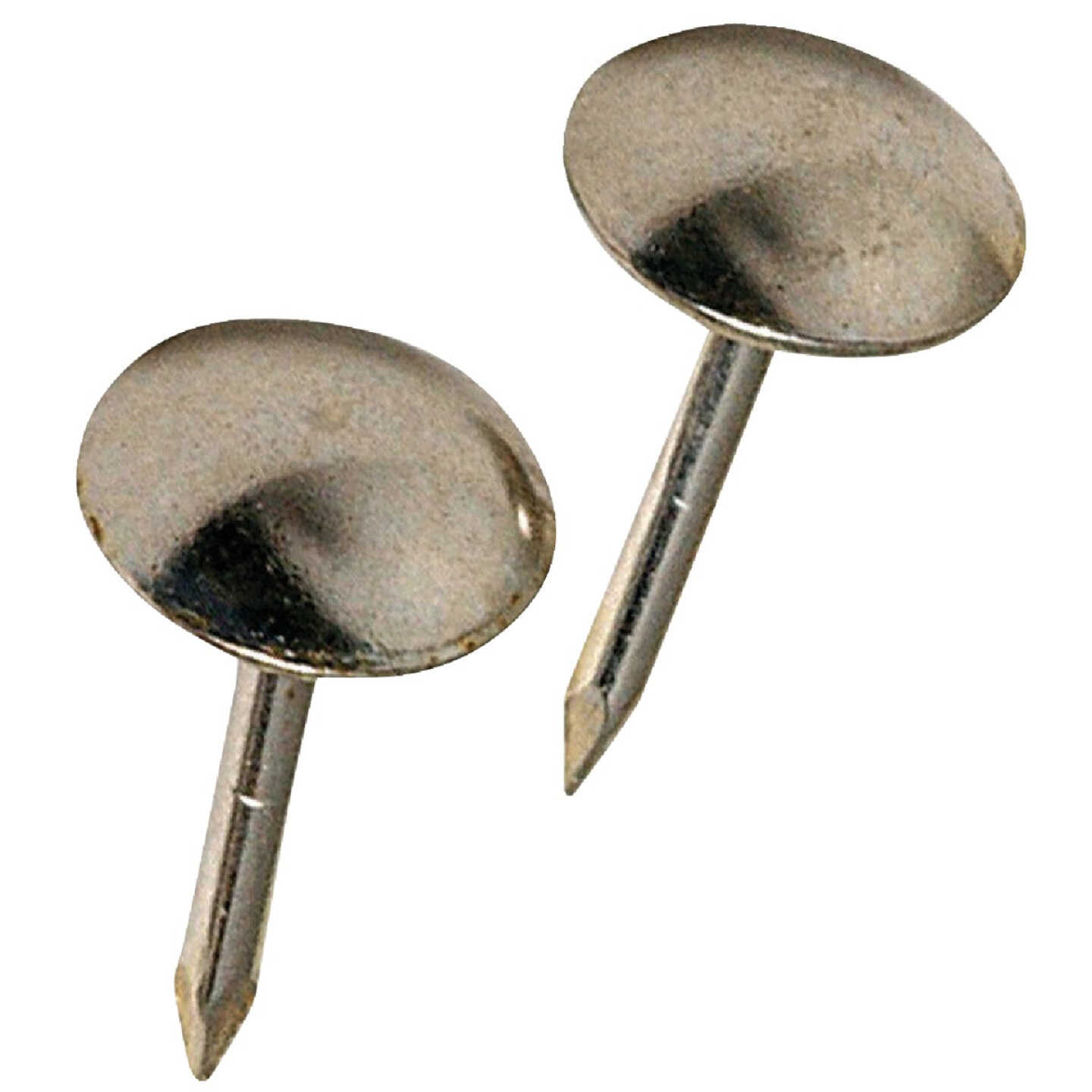 Hillman Fastener Corp Small Round Nickel Upholstery Nail (25 Ct.) Image 1