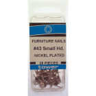 Hillman Fastener Corp Small Round Nickel Upholstery Nail (25 Ct.) Image 2