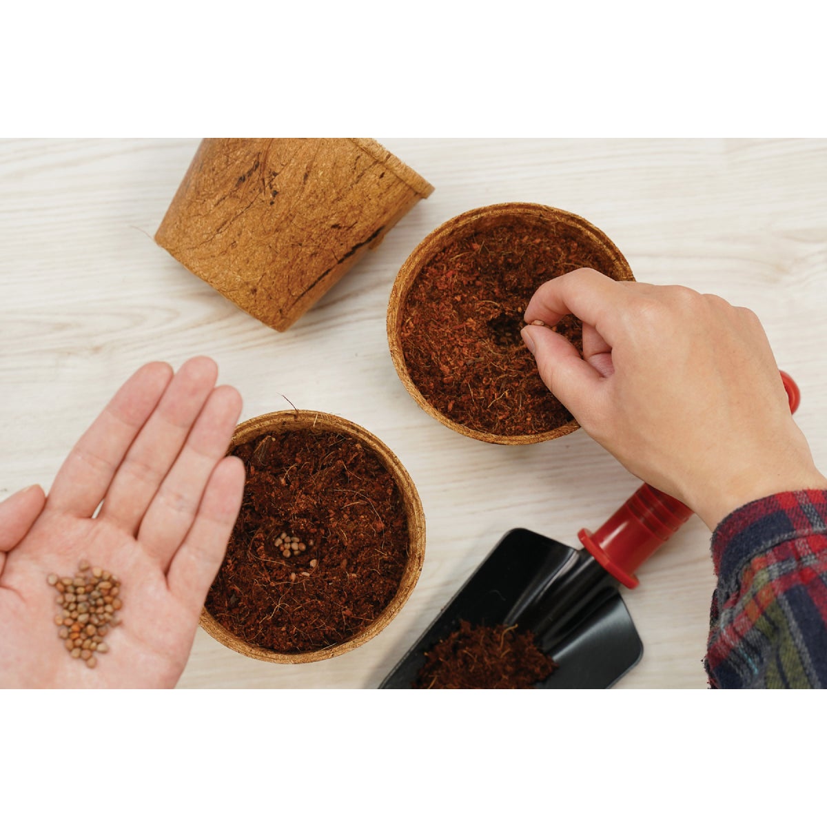 PlantBest 4.5 In. Coconut Coir Plantable Pot (6-Pack) Image 2