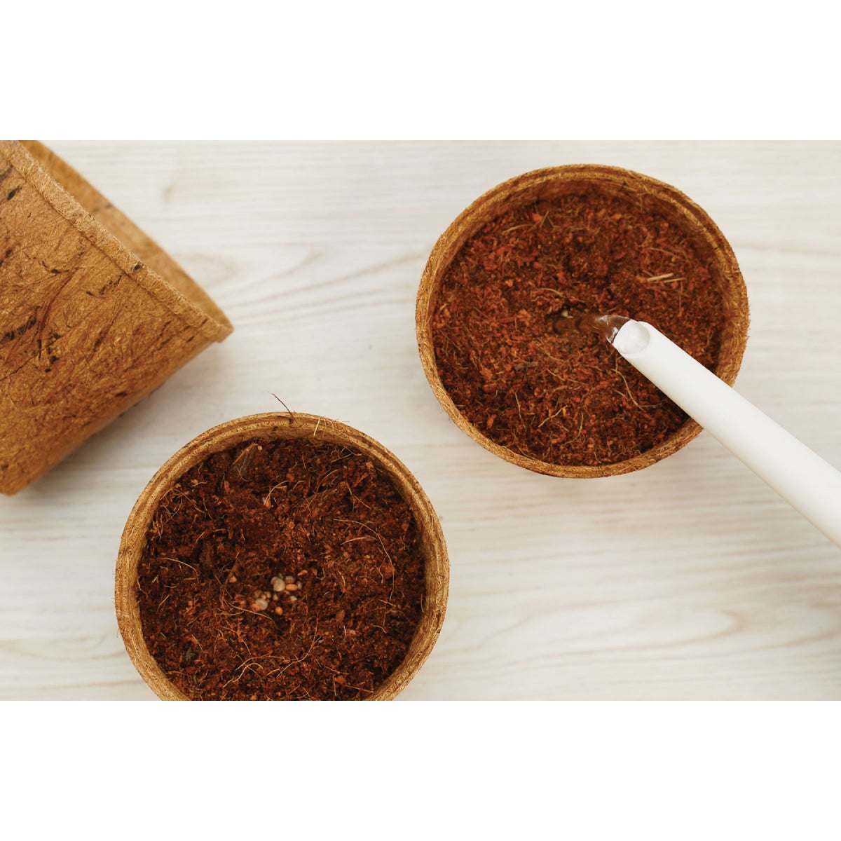 PlantBest 4.5 In. Coconut Coir Plantable Pot (6-Pack) Image 3