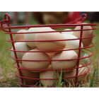 Stromberg's Large Red Egg Basket Image 3