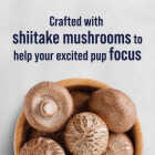 Stewart Focus 4 Oz. Freeze-Fried Salmon Dog Treat Image 2