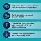 Stewart Focus 4 Oz. Freeze-Fried Salmon Dog Treat Image 4